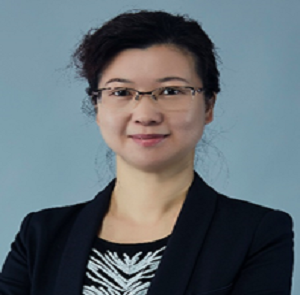 卜书红