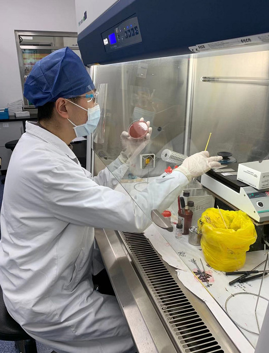 陈峰在微生物室工作中
