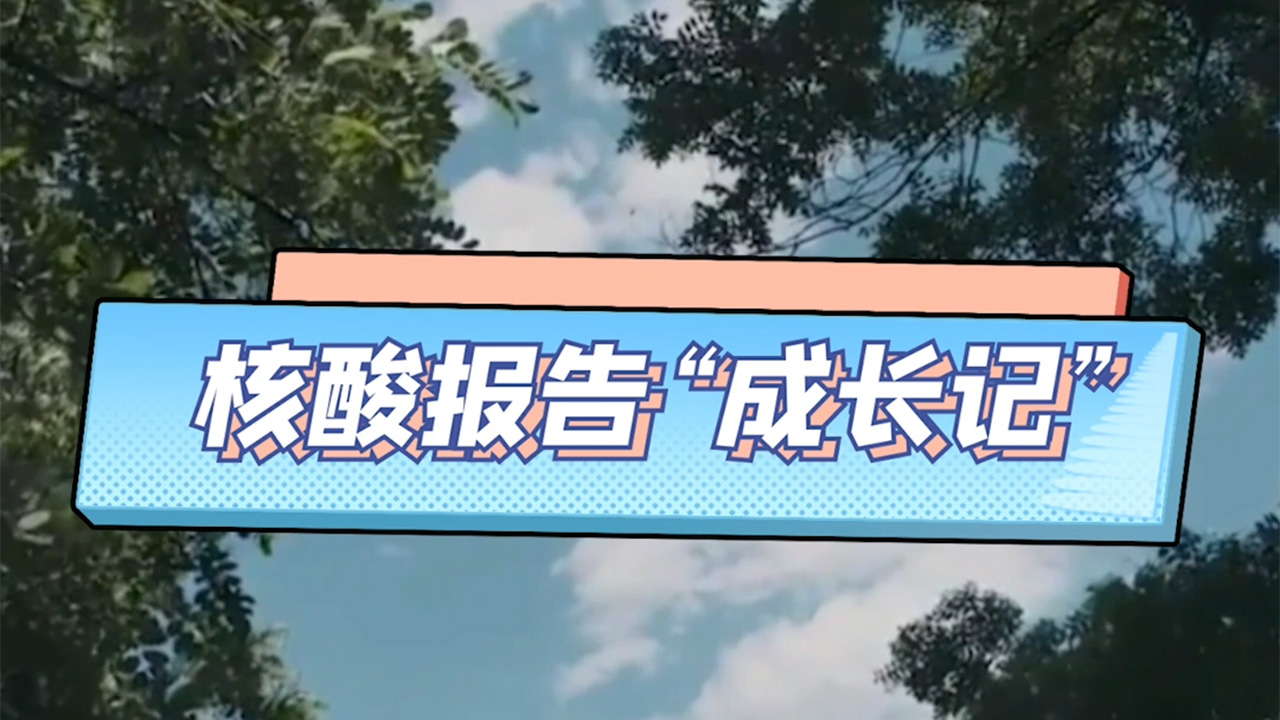 核酸报告“成长记”